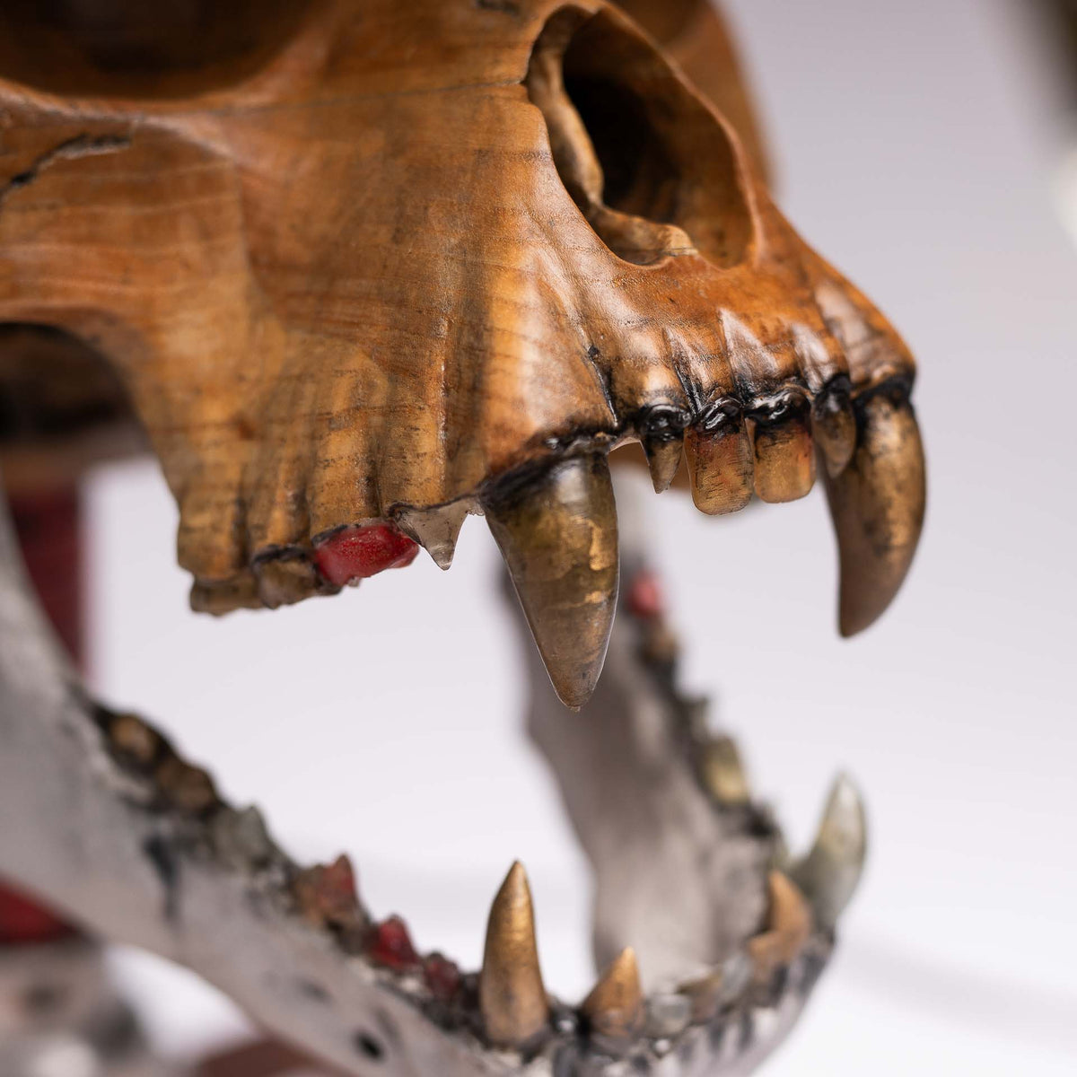 Detail of the carved ash-wood skull with epoxy resin teeth